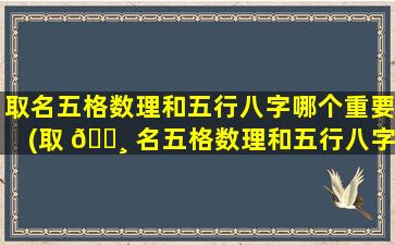 取名五格数理和五行八字哪个重要(取 🕸 名五格数理和五行八字哪个重要些)